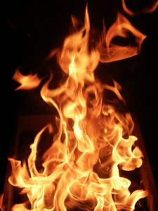 428011673_18534dd616