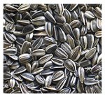 sunflower-seeds-striped sunflower-seeds-striped