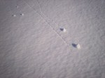 snowball avalanche