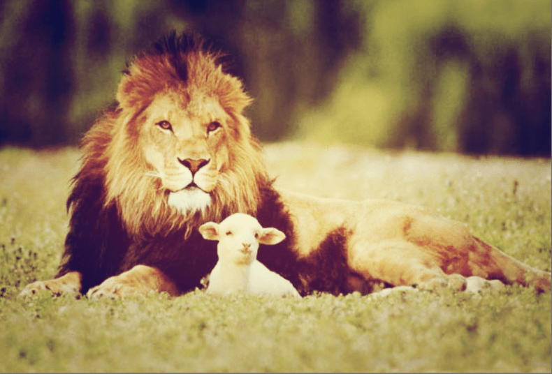 Screen Shot 2013-06-24 at 9.14.10 PM