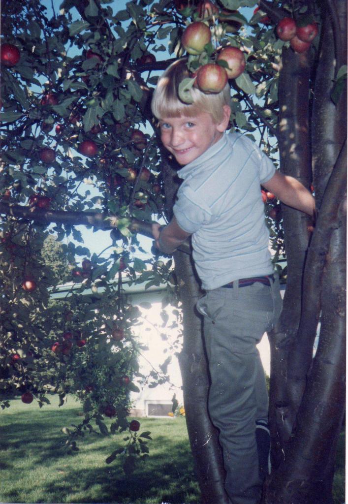 884378_492216834173113_1891747511_o