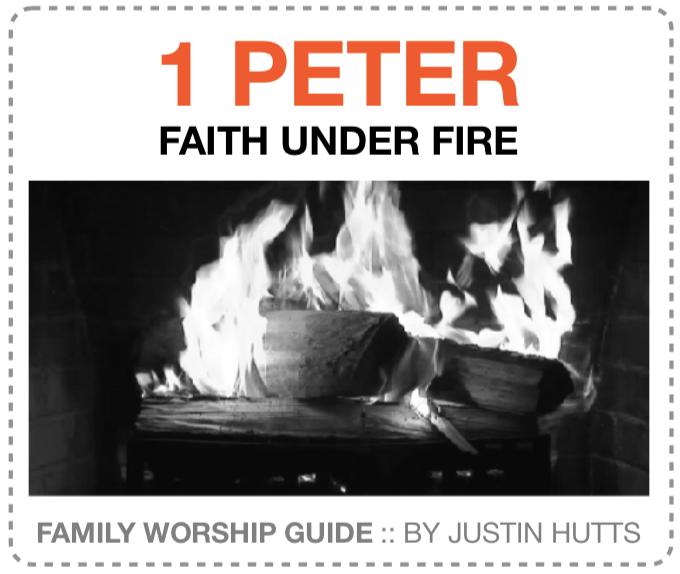 Screen Shot 2018-08-24 at 2.05.42 PM