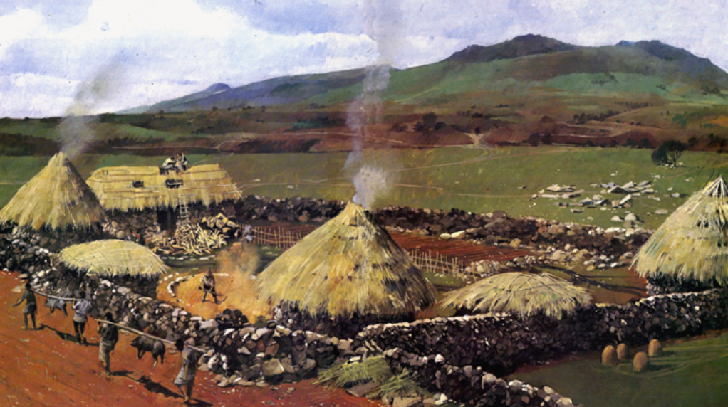 Screen Shot 2019-03-13 at 11.25.29 AM