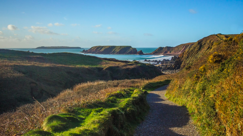 Screen Shot 2019-03-13 at 11.25.39 AM