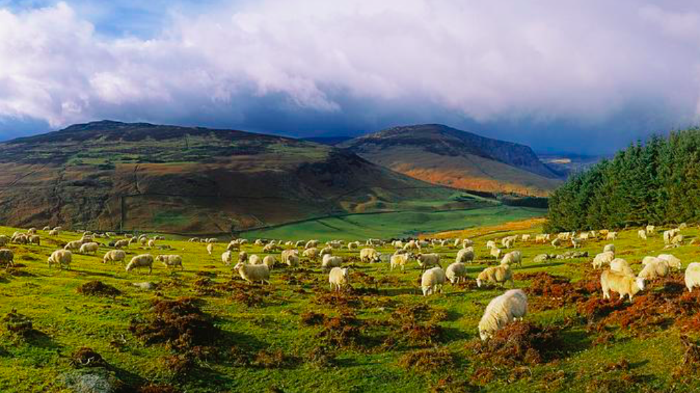 Screen Shot 2019-03-13 at 11.26.00 AM