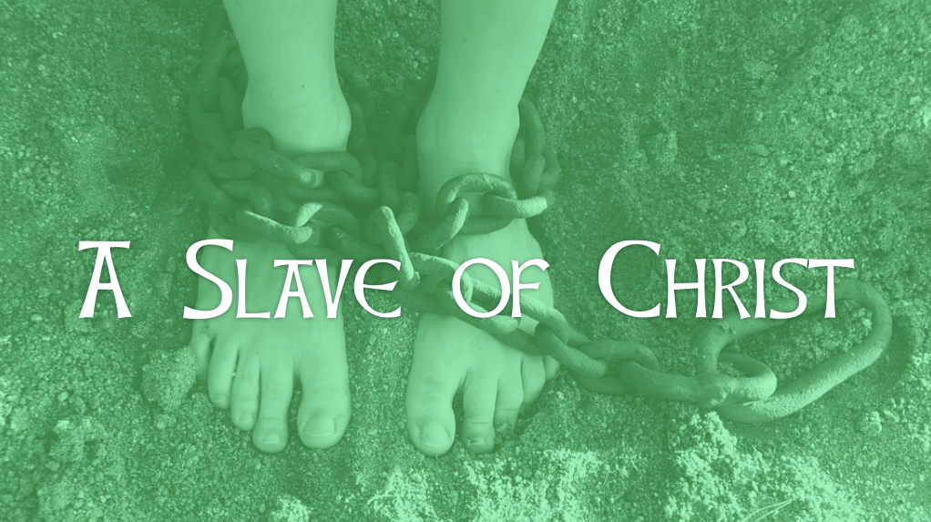 Screen Shot 2019-03-13 at 12.05.54 PM