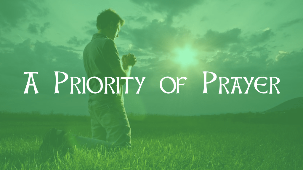 Screen Shot 2019-03-13 at 12.07.15 PM